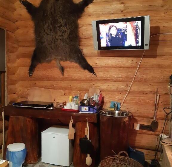 پانسیون Cabanele Tisa