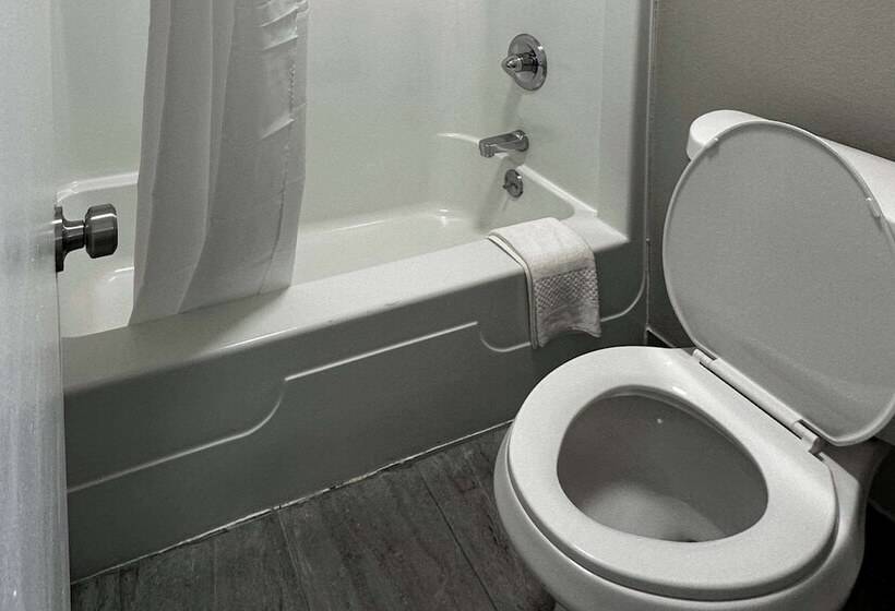 旅馆 Quality Inn Nashville   Opryland Area