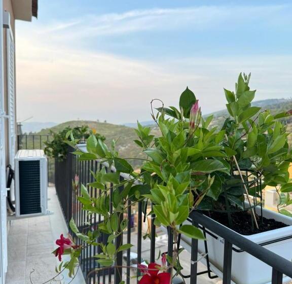 Пансион Avi Rooms