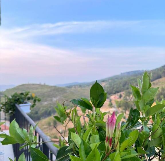 Пансион Avi Rooms