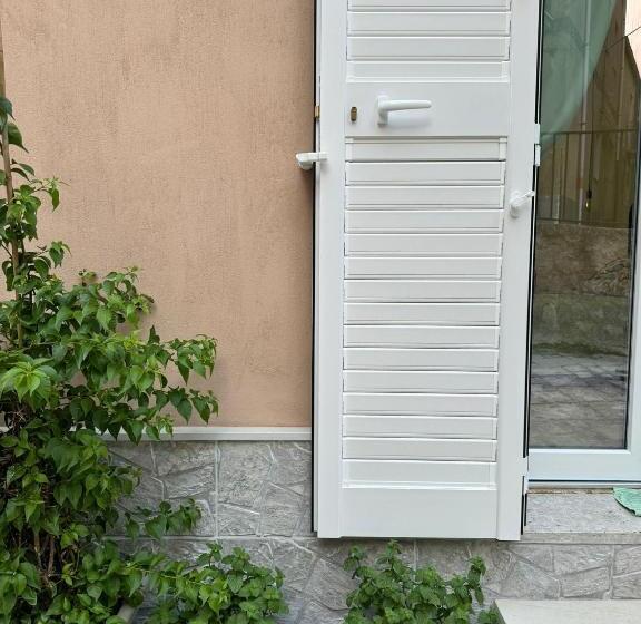 Пансион Avi Rooms