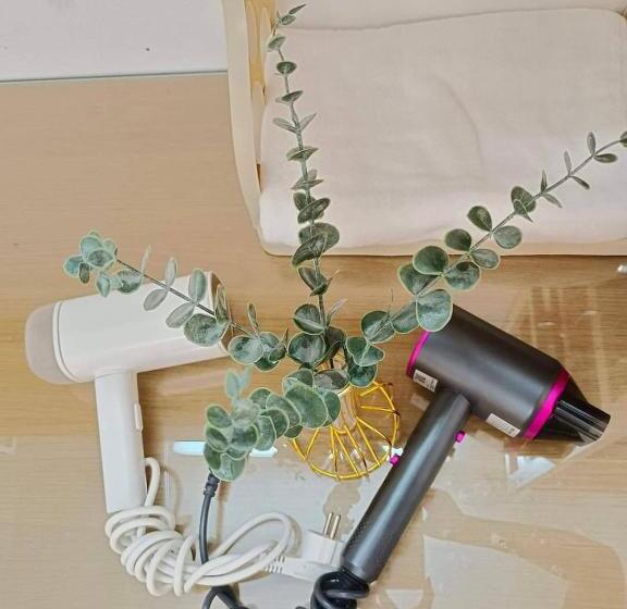 פנסיון Gift House