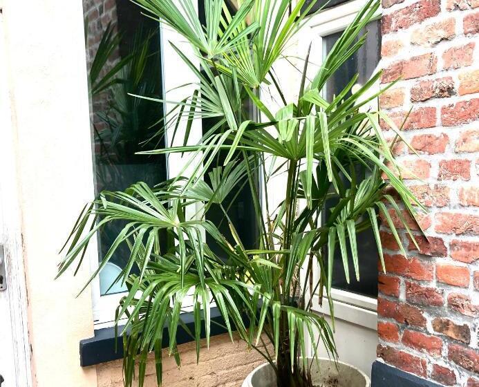 پانسیون Studio Autonome Terrasse Privée