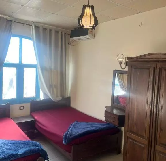 هاستل Dahab Plaza Chalets