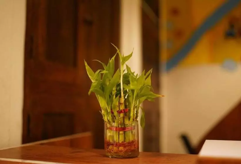 ユースホステル Dormnest