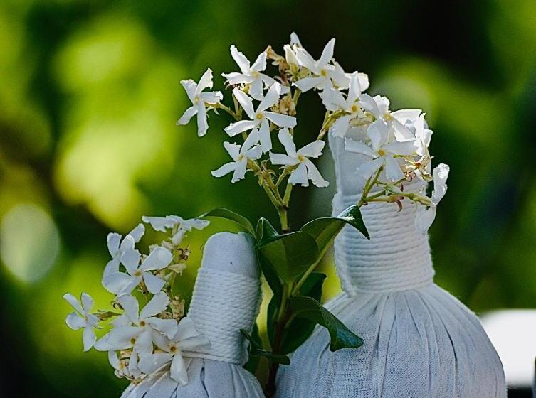 تختخواب و صبحانه La Suite Gordes