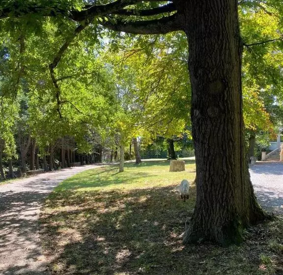 ベッドアンドブレックファースト Maison D Hôtes à Laplume