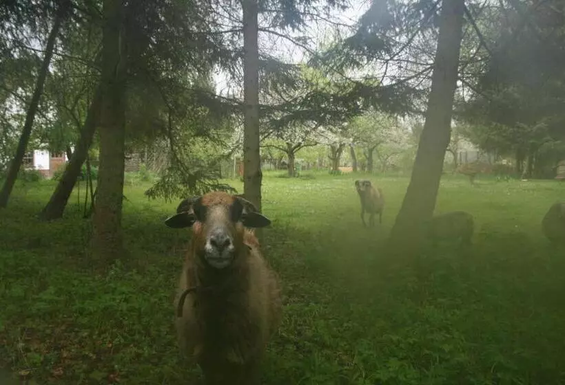 ホテル Reetdach Ferienhaus Nahe Ostseebad Kühlungsborn