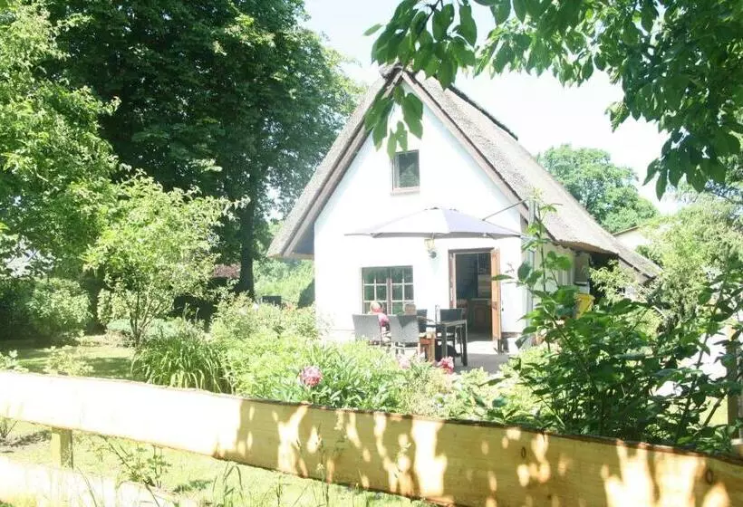 ホテル Reetdach Ferienhaus Nahe Ostseebad Kühlungsborn