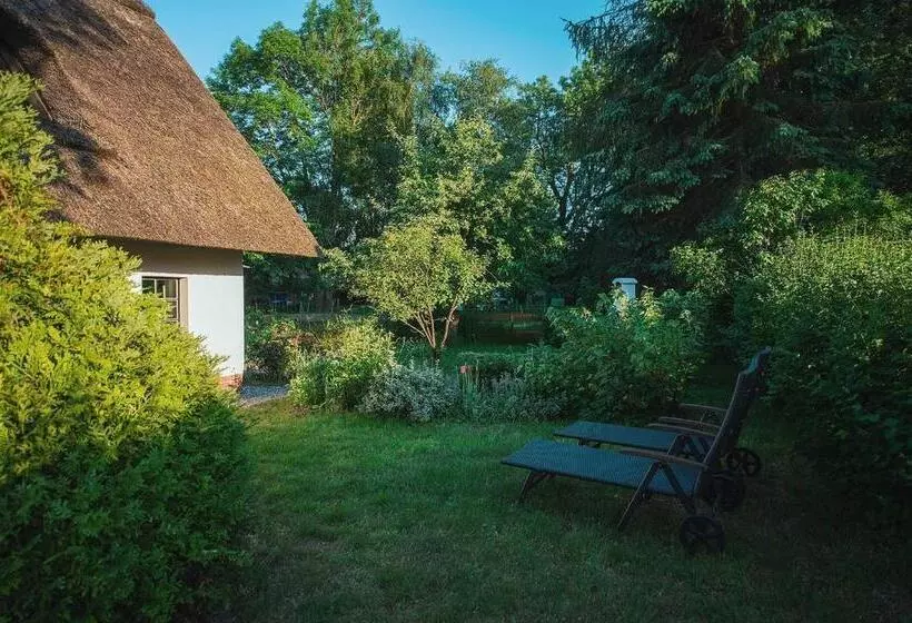 ホテル Reetdach Ferienhaus Nahe Ostseebad Kühlungsborn