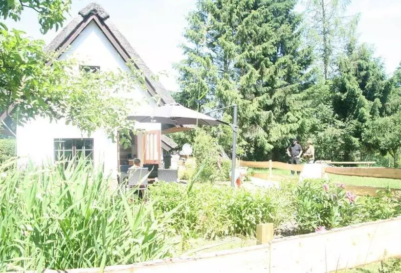 ホテル Reetdach Ferienhaus Nahe Ostseebad Kühlungsborn