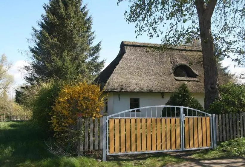 ホテル Reetdach Ferienhaus Nahe Ostseebad Kühlungsborn