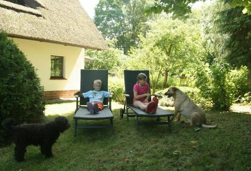 ホテル Reetdach Ferienhaus Nahe Ostseebad Kühlungsborn