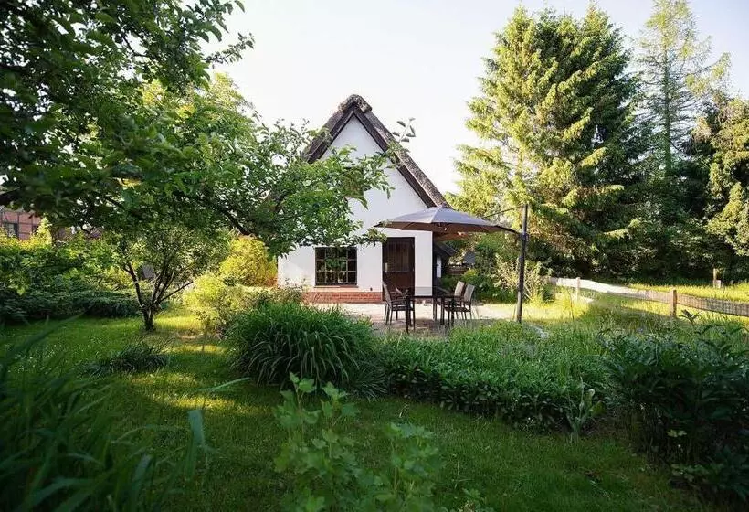 ホテル Reetdach Ferienhaus Nahe Ostseebad Kühlungsborn