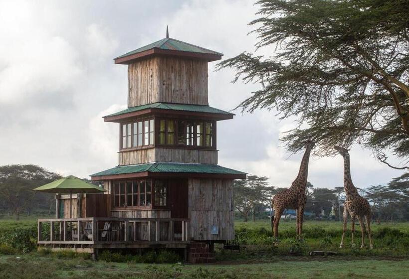 هتل The Watch Tower 360 Bed View Shower Understars