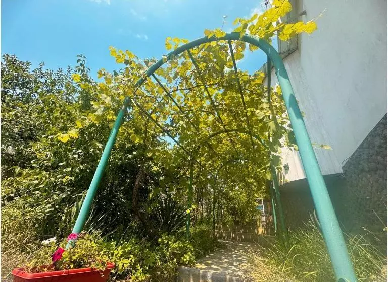 Majatalo Paloma Bed And Breakfast