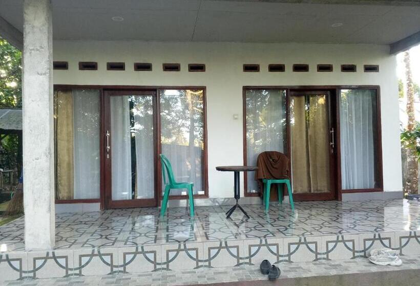 פנסיון Zian Guest House