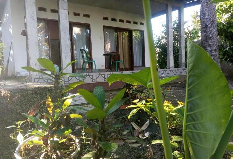 פנסיון Zian Guest House