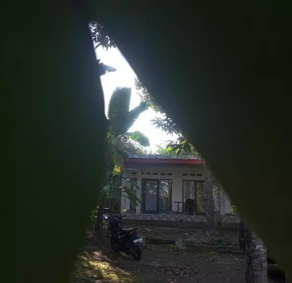 ペンション Zian Guest House