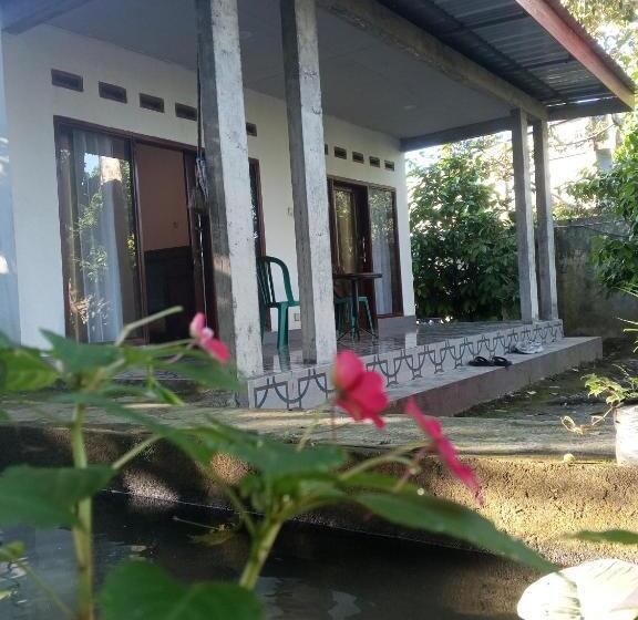 פנסיון Zian Guest House