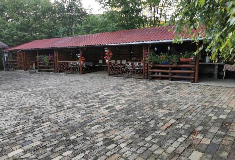 فندق صغير Pensiunea Mirela