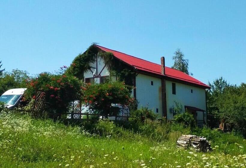 فندق صغير Pensiunea Mirela