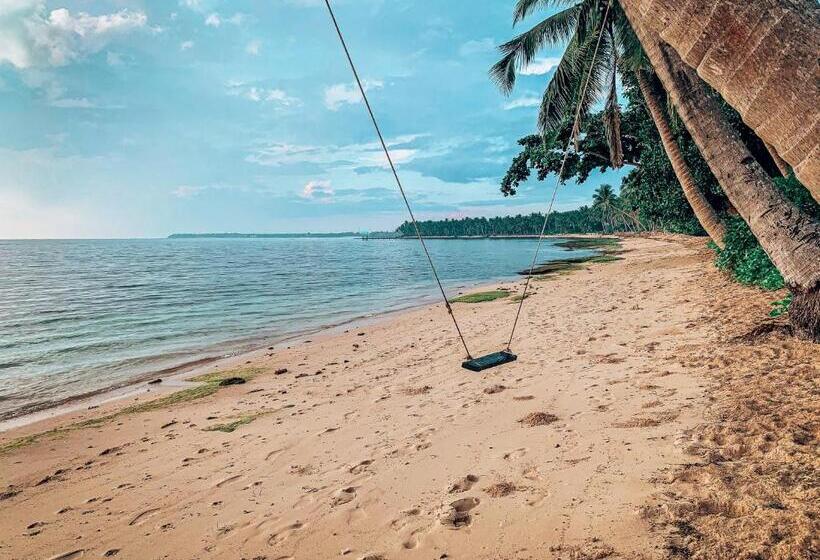 هاستل Shakabrah S Beachfront Dorm