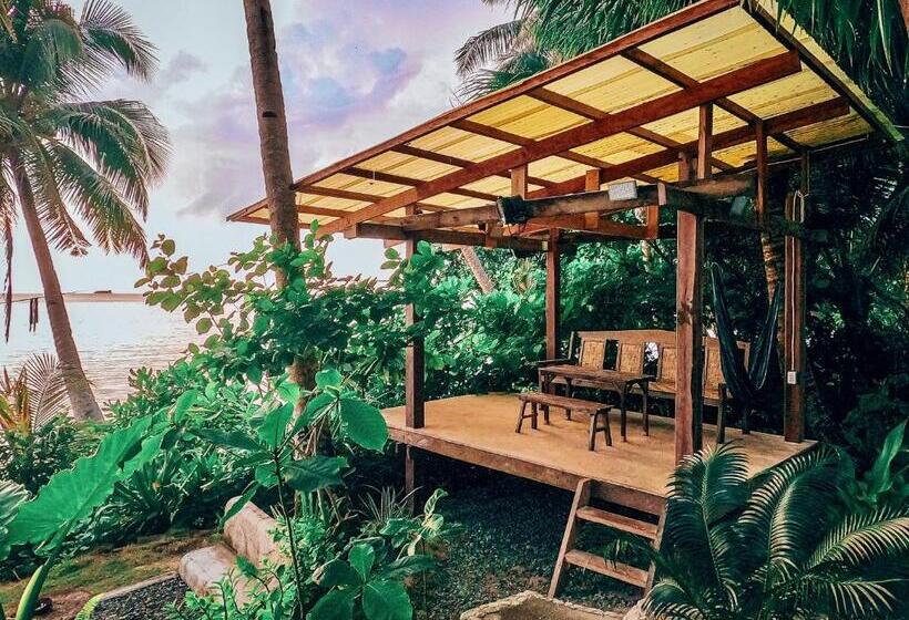 هاستل Shakabrah S Beachfront Dorm