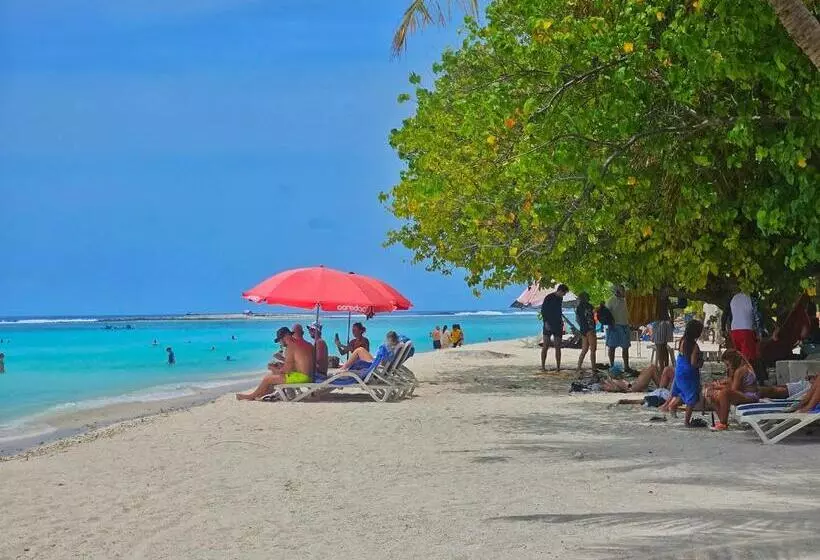 پانسیون Coquillage Inn