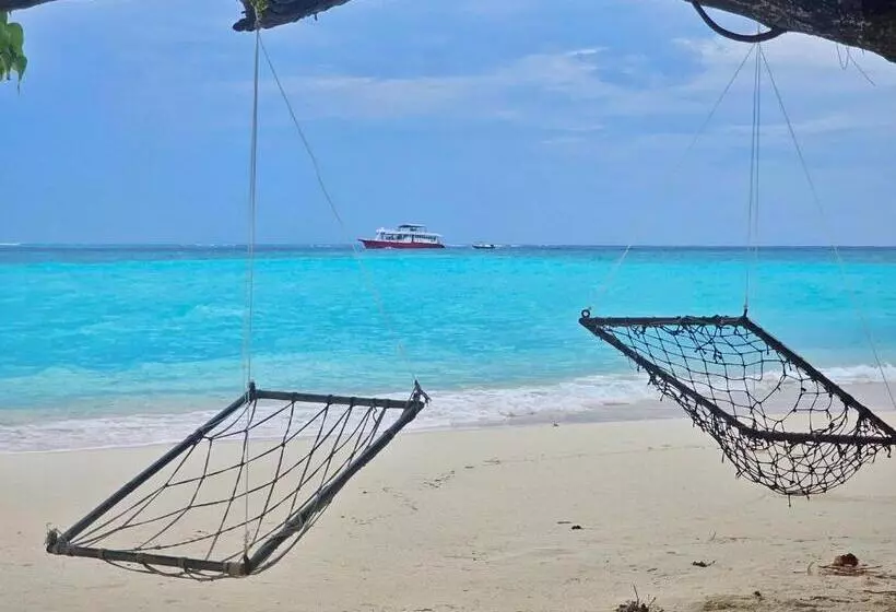 پانسیون Coquillage Inn