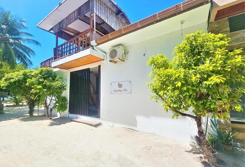 پانسیون Coquillage Inn