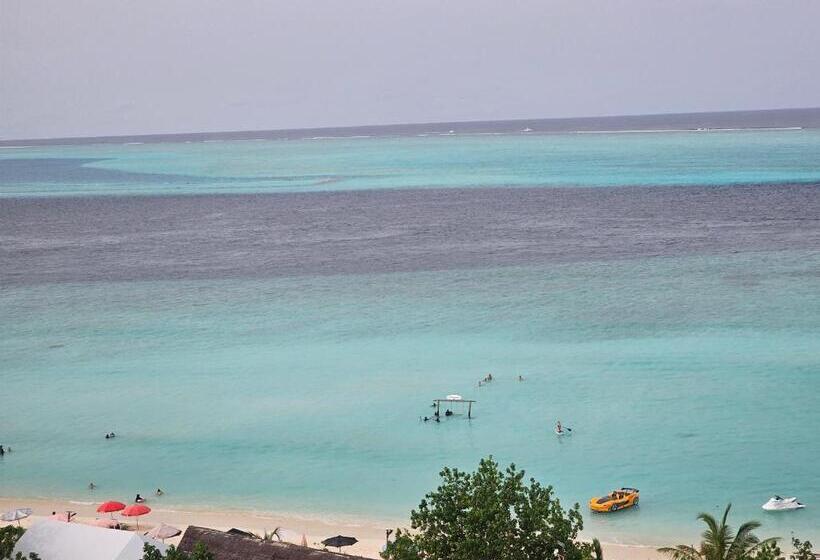 پانسیون Coquillage Inn