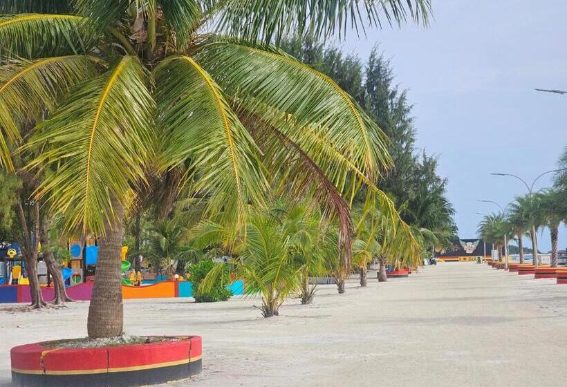 پانسیون Coquillage Inn