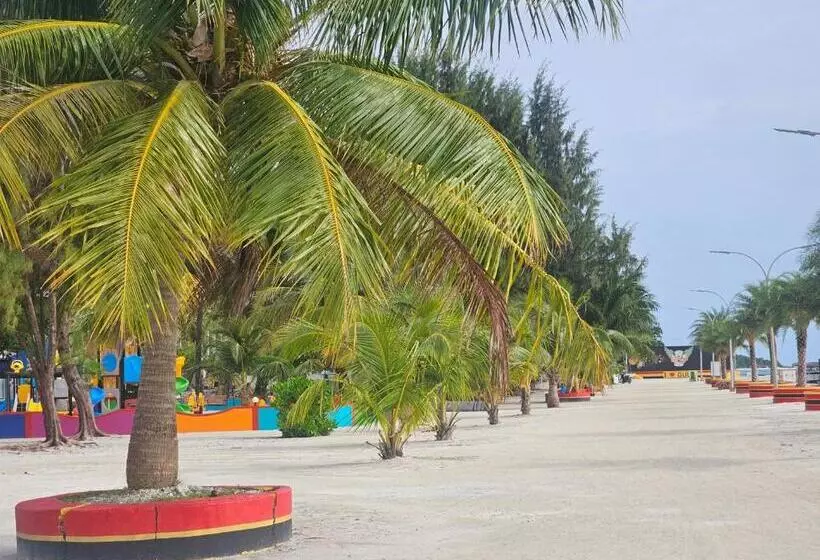 پانسیون Coquillage Inn