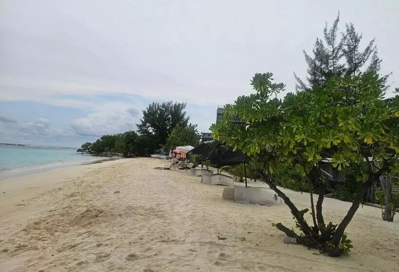 پانسیون Coquillage Inn