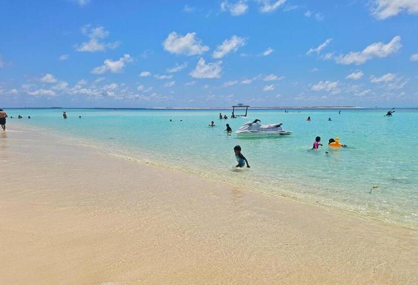 پانسیون Coquillage Inn