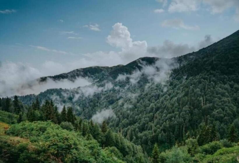 پانسیون Guesthouse