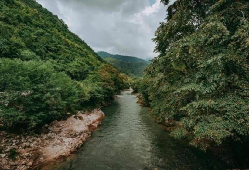 پانسیون Guesthouse