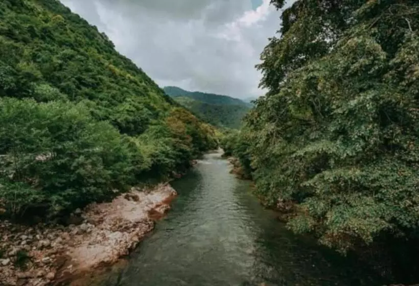 پانسیون Guesthouse