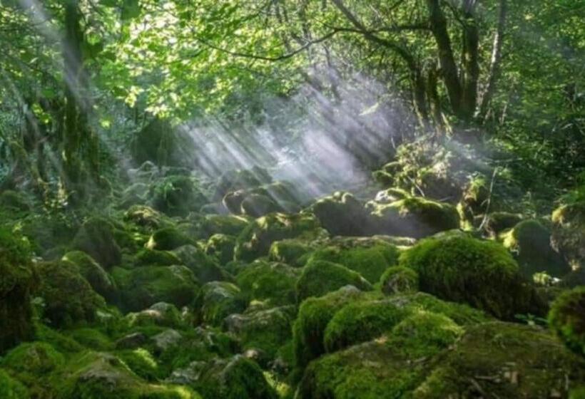 پانسیون Guesthouse