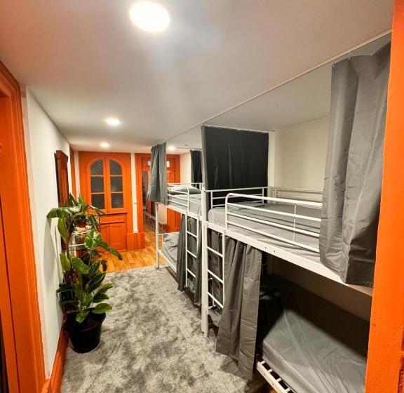 هاستل Samba Guesthouse