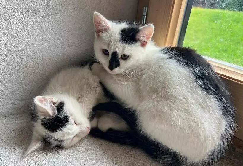 Aamiaismajoitus (B&B) Bio Hof Lexmühle