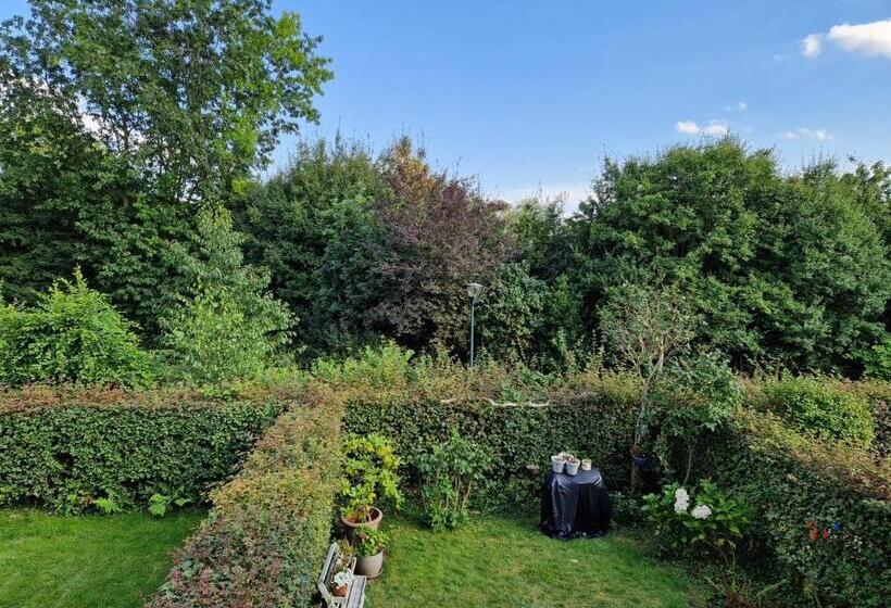 住宿加早餐  Mimi Plus