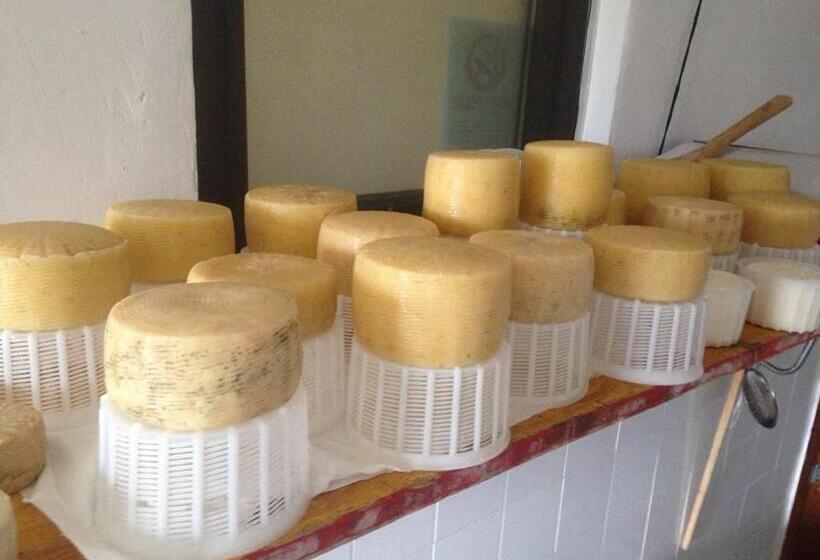 酒店 Agriturismo Il Tratturo B&b