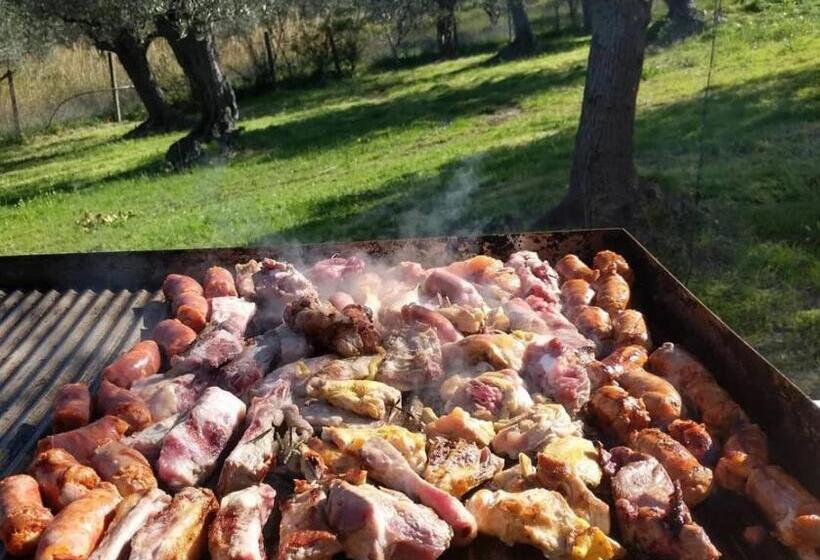 酒店 Agriturismo Il Tratturo B&b