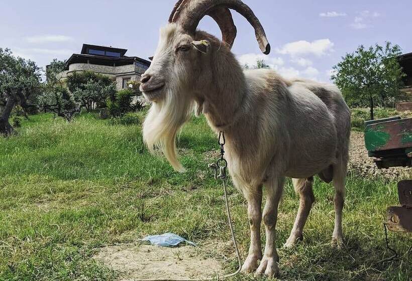 酒店 Agriturismo Il Tratturo B&b