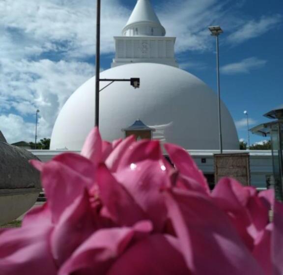 Szálloda Diyathma Lake Resort