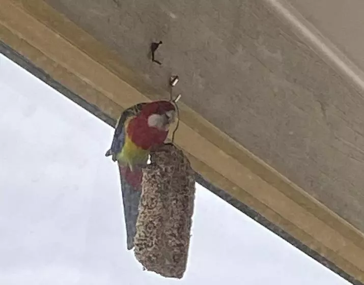 Majatalo Balcombe Retreat Mornington