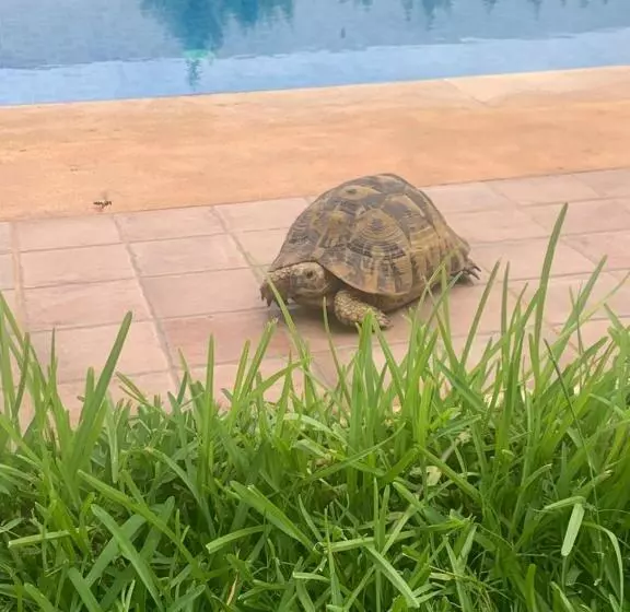 Majatalo Fatima Village