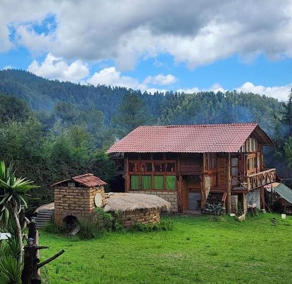 Пансион Hostal Teotlaneztli